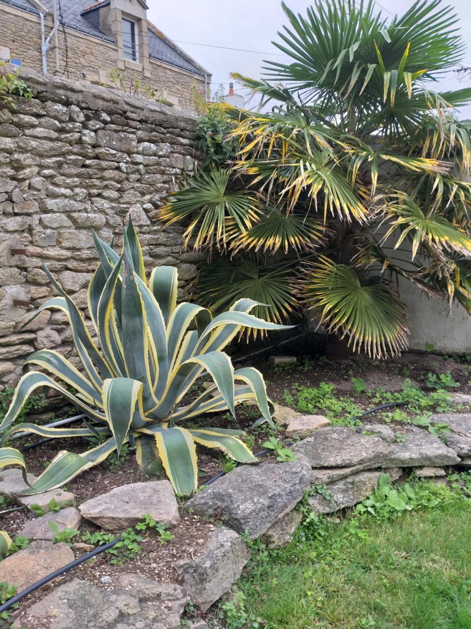 Manoir St Yves -Gite Quiberon Zewnętrze zdjęcie