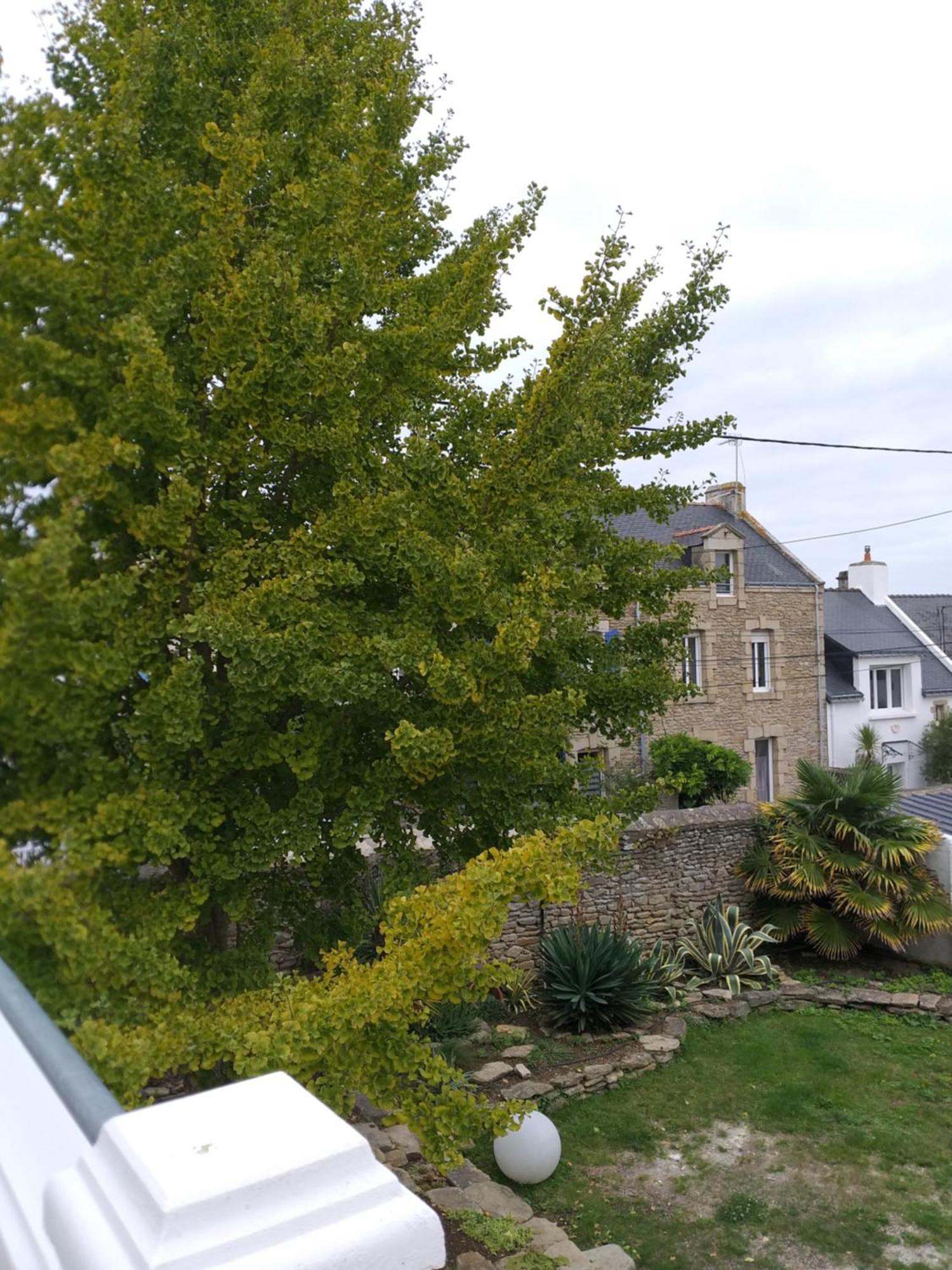 Manoir St Yves -Gite Quiberon Zewnętrze zdjęcie